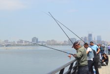 Гости Евроигр смогут порыбачить в Каспийском море (ФОТО)