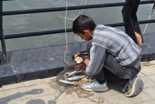 Гости Евроигр смогут порыбачить в Каспийском море (ФОТО)