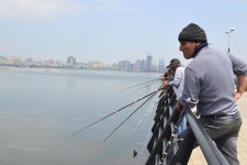 Гости Евроигр смогут порыбачить в Каспийском море (ФОТО)