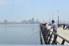 Гости Евроигр смогут порыбачить в Каспийском море (ФОТО)