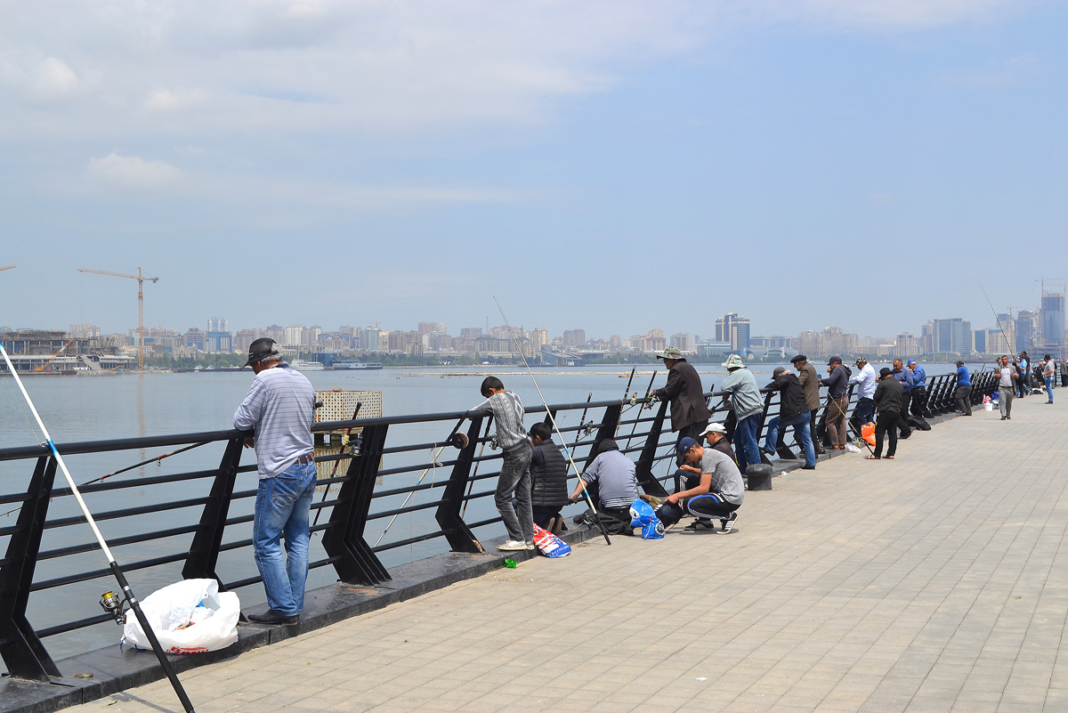 Гости Евроигр смогут порыбачить в Каспийском море (ФОТО)