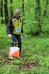 Cамый массовый вид спорта выходного дня в Азербайджане, посвященный Евроиграм (ФОТО)
