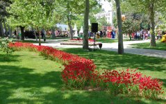 В Баку проводится Праздник цветов (ФОТО)