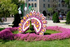 В Баку проводится Праздник цветов (ФОТО)