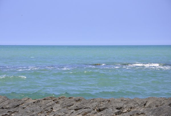 Iran extends osteichthyes fishing season in Caspian Sea