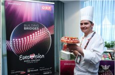 Сцена "Евровидения 2015" в Wiener Stadthalle – одежда ведущих, эко-кухня, пресс-центр (ФОТО)