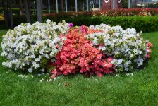 The Upland Park – a beautiful view of Baku (PHOTO) (Part 1)