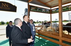 Azerbaijani president observes two exhibitions in Baku (PHOTO)