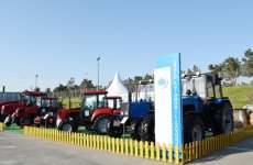 Azerbaijani president observes two exhibitions in Baku (PHOTO)