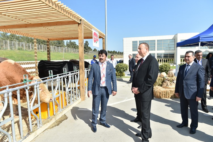 Azerbaijani president observes two exhibitions in Baku (PHOTO)
