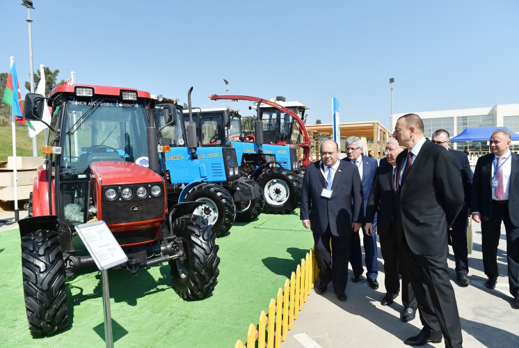 Azerbaijani president observes two exhibitions in Baku (PHOTO)