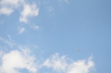 В Трускавце прошла праздничная акция,  посвященная Евроиграм 2015 года в Баку (ФОТО)