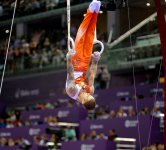 Azerbaijani gymnasts’ success at Baku 2015 (PHOTO)
