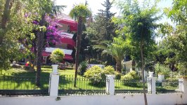 Поездка к Принцевым островам, или экологичный Бююкада (ФОТО, часть 1)