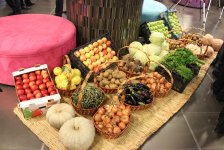 Путешествие в Хачмаз – вкусные блюда и сладости, природа и релакс (ФОТО)