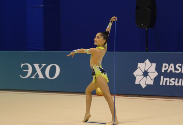 Azerbaijani gymnast reaches great success during year