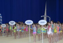 Azerbaijani gymnast reaches great success during year