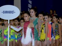Azerbaijani gymnast reaches great success during year