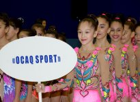 Azerbaijani gymnast reaches great success during year