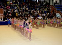 Azerbaijani gymnast reaches great success during year