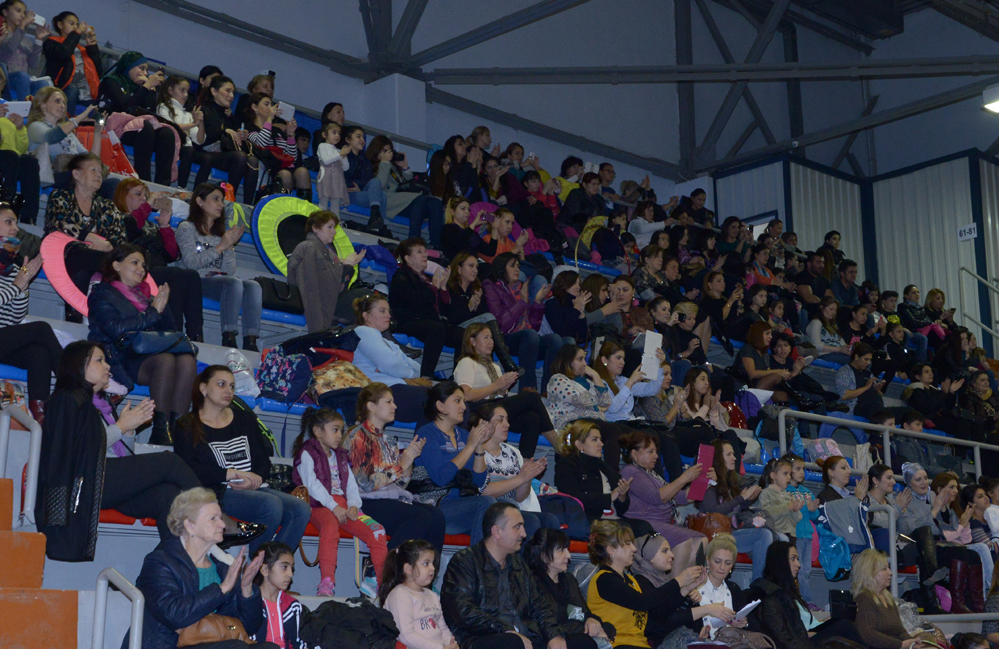 Azerbaijani gymnast reaches great success during year