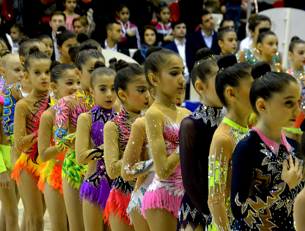 Azerbaijani gymnast reaches great success during year
