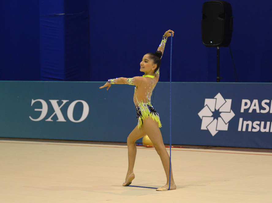 Azerbaijani gymnast reaches great success during year