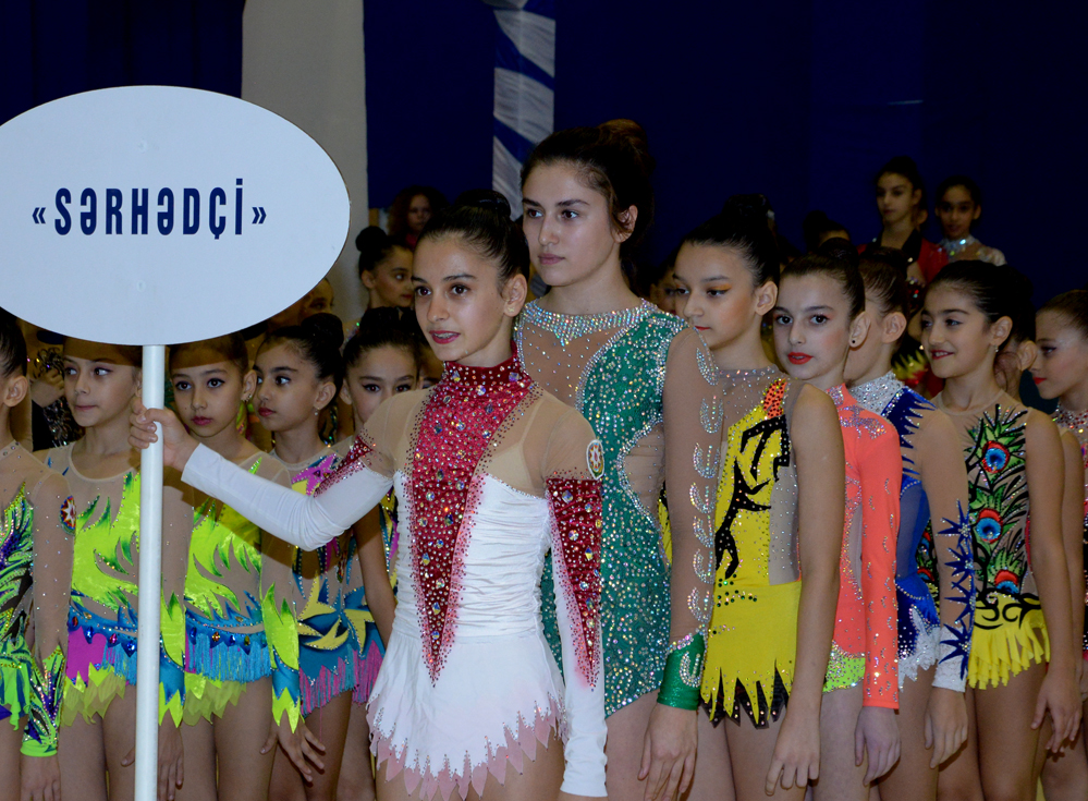 Azerbaijani gymnast reaches great success during year