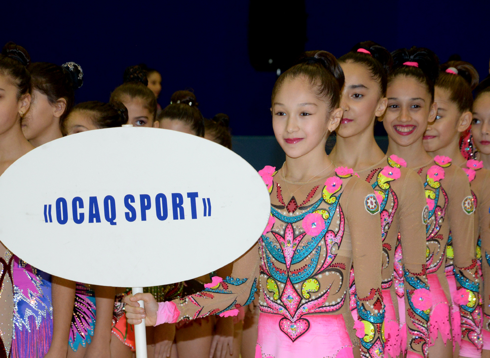 Azerbaijani gymnast reaches great success during year