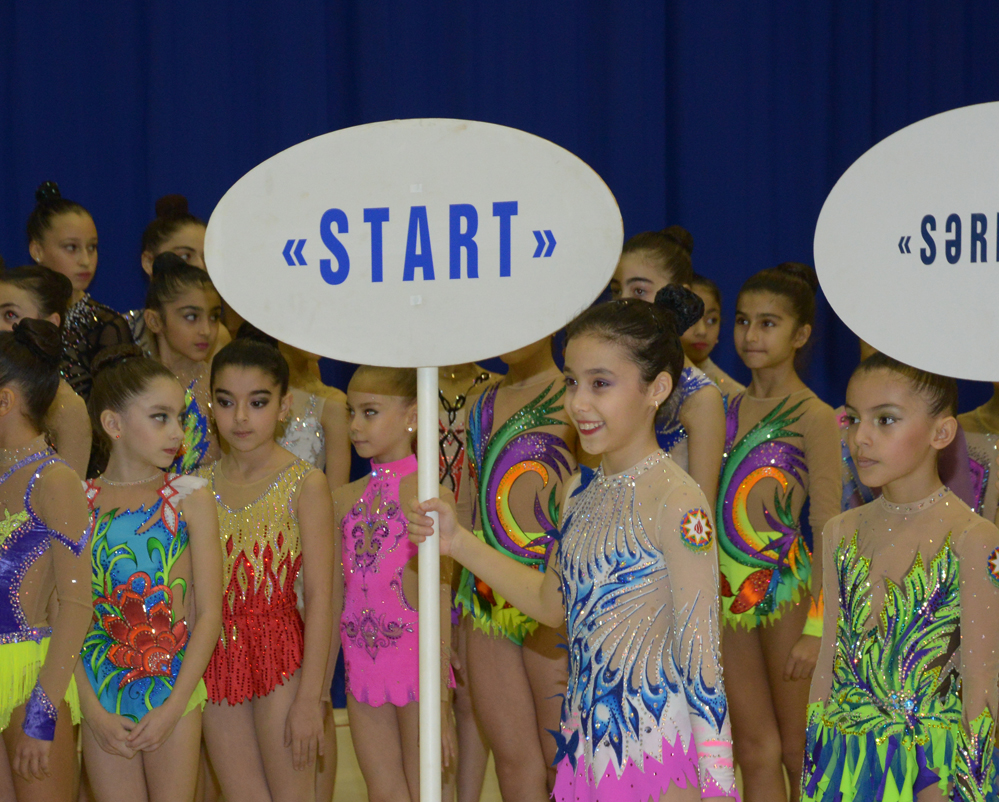 Azerbaijani gymnast reaches great success during year