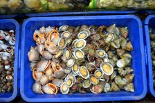 Приключения азербайджанца на Сиамском острове Фукуок (ФОТО, часть 2)
