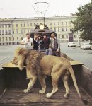 Лев Кинг из Баку, или Как Эльдар Рязанов зарекся снимать животных (ФОТО)