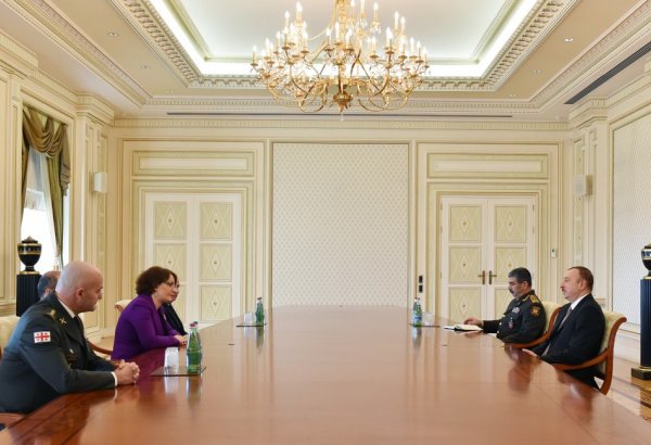 Президент Азербайджана принял министра обороны Грузии