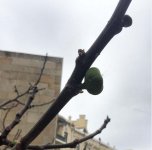Баку глазами Игоря Чапурина (ФОТО)