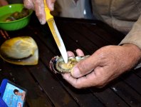 Как дешево купить дорогой, но настоящий жемчуг-мирвари (ФОТО)