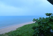 Как дешево купить дорогой, но настоящий жемчуг-мирвари (ФОТО)