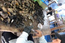 Как дешево купить дорогой, но настоящий жемчуг-мирвари (ФОТО)