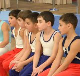 В Баку стартовали соревнования в многоборье по мужской спортивной гимнастике (ФОТО)