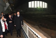 Президент Азербайджана посетил Музей терракотовой армии (ФОТО)