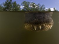 Лучшие фотографии путешественников за 2015 год (ФОТО)