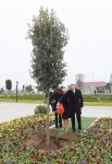 Президент Ильхам Алиев: В деятельности исполнительных органов, в налоговой и таможенной сферах будет обеспечена прозрачность (ФОТО)