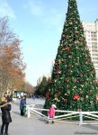 Баку в преддверии Нового Года (ФОТО)