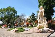 В гостях у Таиланда: Невероятное шоу с крокодилами  в Паттайе (ФОТО)