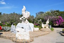 В гостях у Таиланда: Невероятное шоу с крокодилами  в Паттайе (ФОТО)