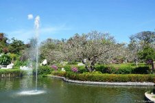 В гостях у Таиланда: Невероятное шоу с крокодилами  в Паттайе (ФОТО)