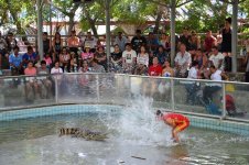 В гостях у Таиланда: Невероятное шоу с крокодилами  в Паттайе (ФОТО)