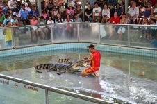 В гостях у Таиланда: Невероятное шоу с крокодилами  в Паттайе (ФОТО)