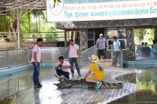 В гостях у Таиланда: Невероятное шоу с крокодилами  в Паттайе (ФОТО)