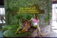 В гостях у Таиланда: Невероятное шоу с крокодилами  в Паттайе (ФОТО)