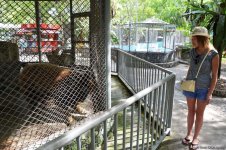 В гостях у Таиланда: Невероятное шоу с крокодилами  в Паттайе (ФОТО)
